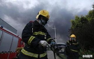 消防员 在线观看,消防员在线直播,英勇瞬间实时呈现 第2张 消防员 在线观看,消防员在线直播,英勇瞬间实时呈现 第2张